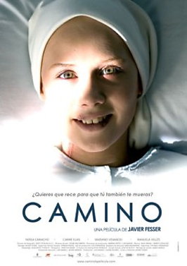 Poster of movie/session Camino