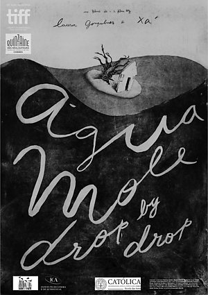 Poster of movie Água mole