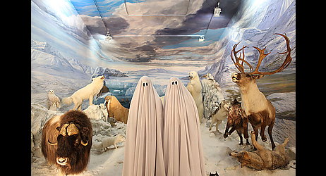 Image of session Finisterrae