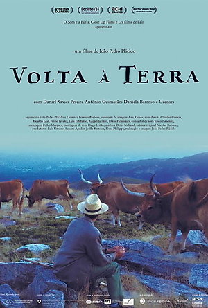 Poster of movie Volta à terra