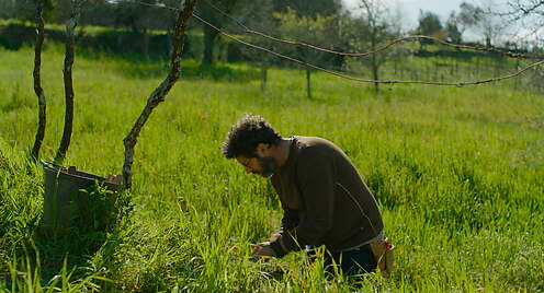 Image of session Una quinta Portuguesa